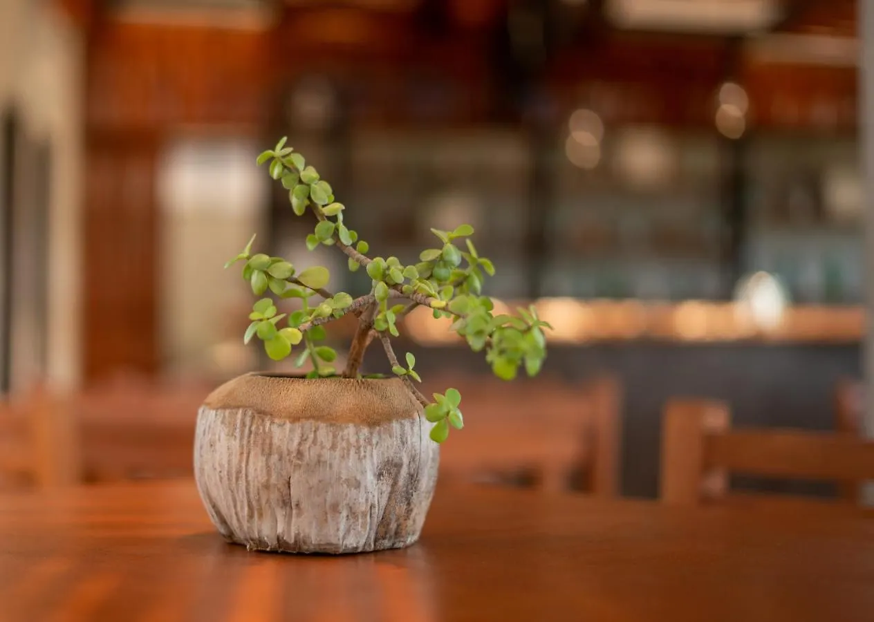 Hotel Muyu Tulum